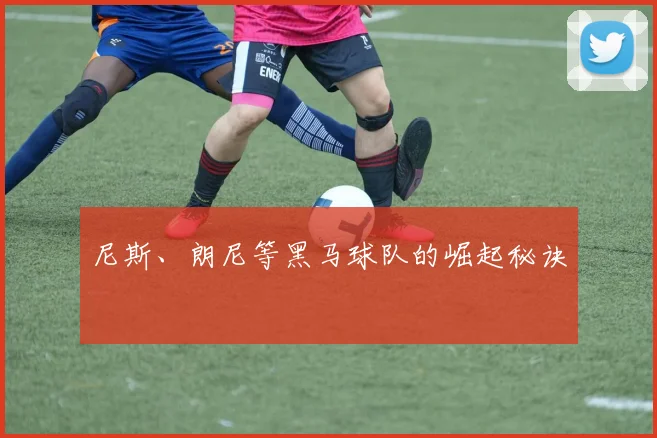 尼斯、朗尼等黑马球队的崛起秘诀