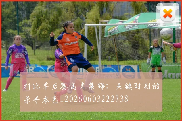 科比季后赛高光集锦：关键时刻的杀手本色_20260603222738