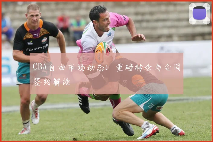CBA自由市场动态：重磅转会与合同签约解读