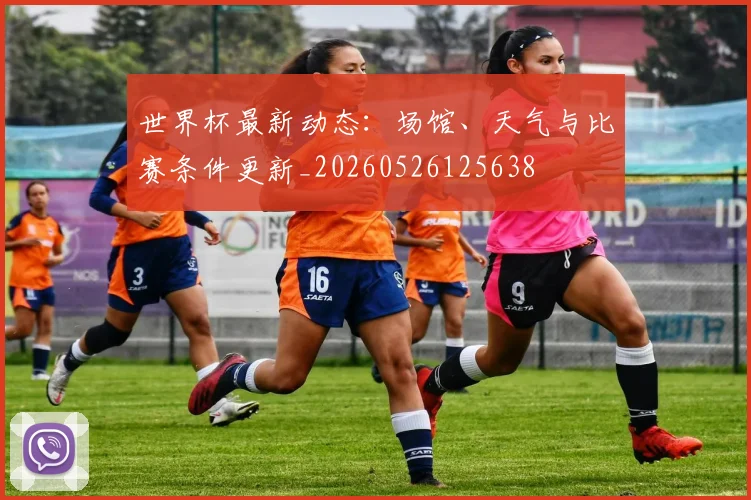 世界杯最新动态：场馆、天气与比赛条件更新_20260526125638