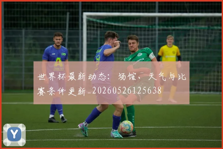 世界杯最新动态：场馆、天气与比赛条件更新_20260526125638